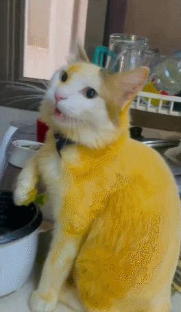 男友最新動態(tài)，科技巔峰之作，引領(lǐng)未來生活新紀(jì)元風(fēng)潮