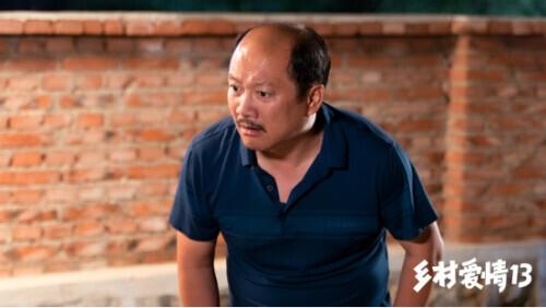 當(dāng)代鄉(xiāng)土風(fēng)情歡樂呈現(xiàn)，最新鄉(xiāng)村喜劇劇集