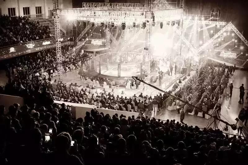 武林籠中對(duì)最新一期，自然美景中的對(duì)決與內(nèi)心平靜之旅