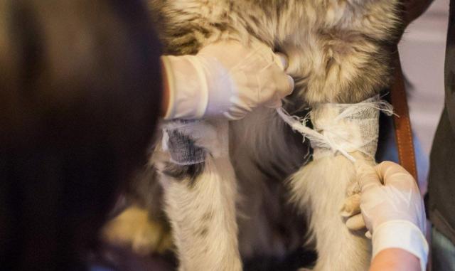 蘇州近期街邊情況，自然美景的心靈之旅體驗紀實