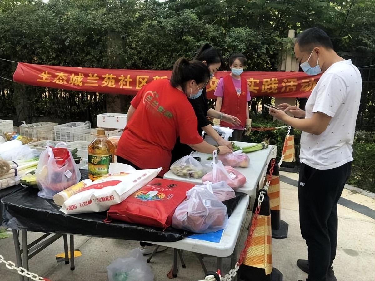 保利華潤紫云價格深度解析，探尋背后的故事與地位影響