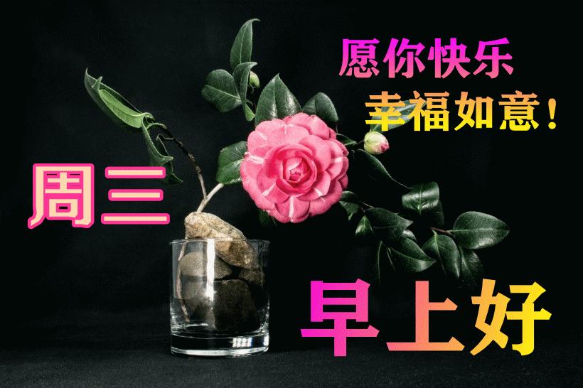 最新早晨問候動態(tài)表情包，溫馨問候，從表情開始！