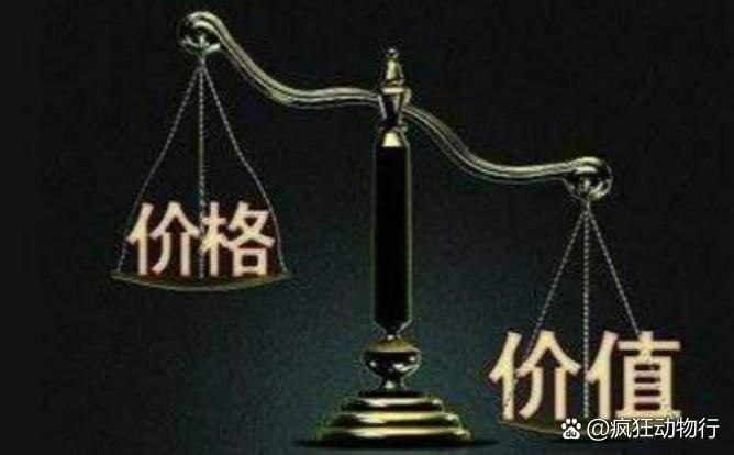 價格與價值解析，差異何在？