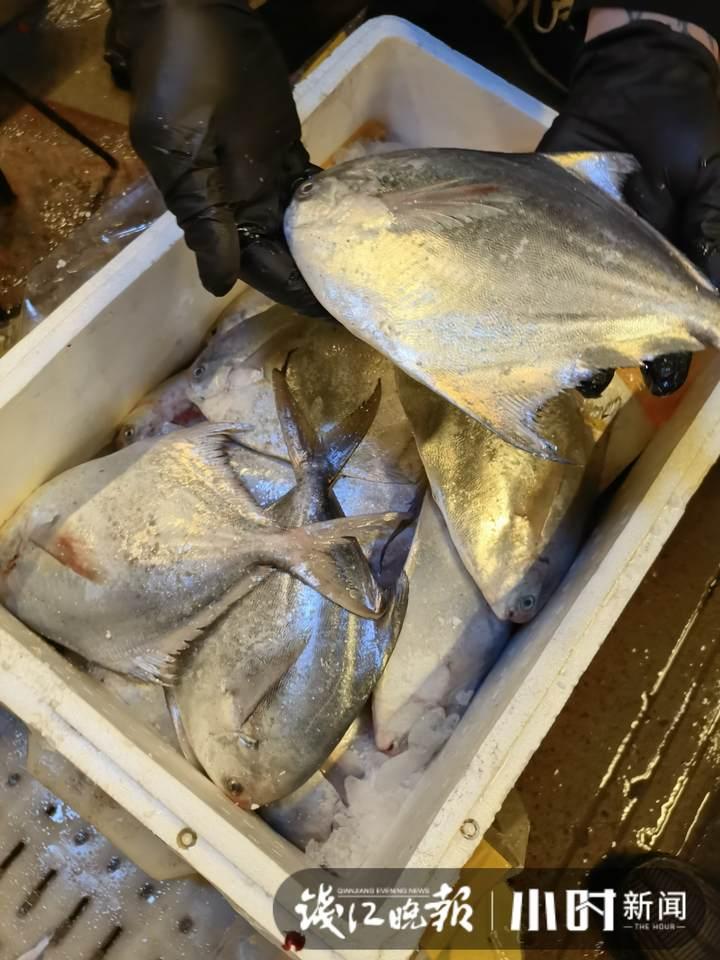 帶魚行情，一場(chǎng)海鮮盛宴的溫馨之旅