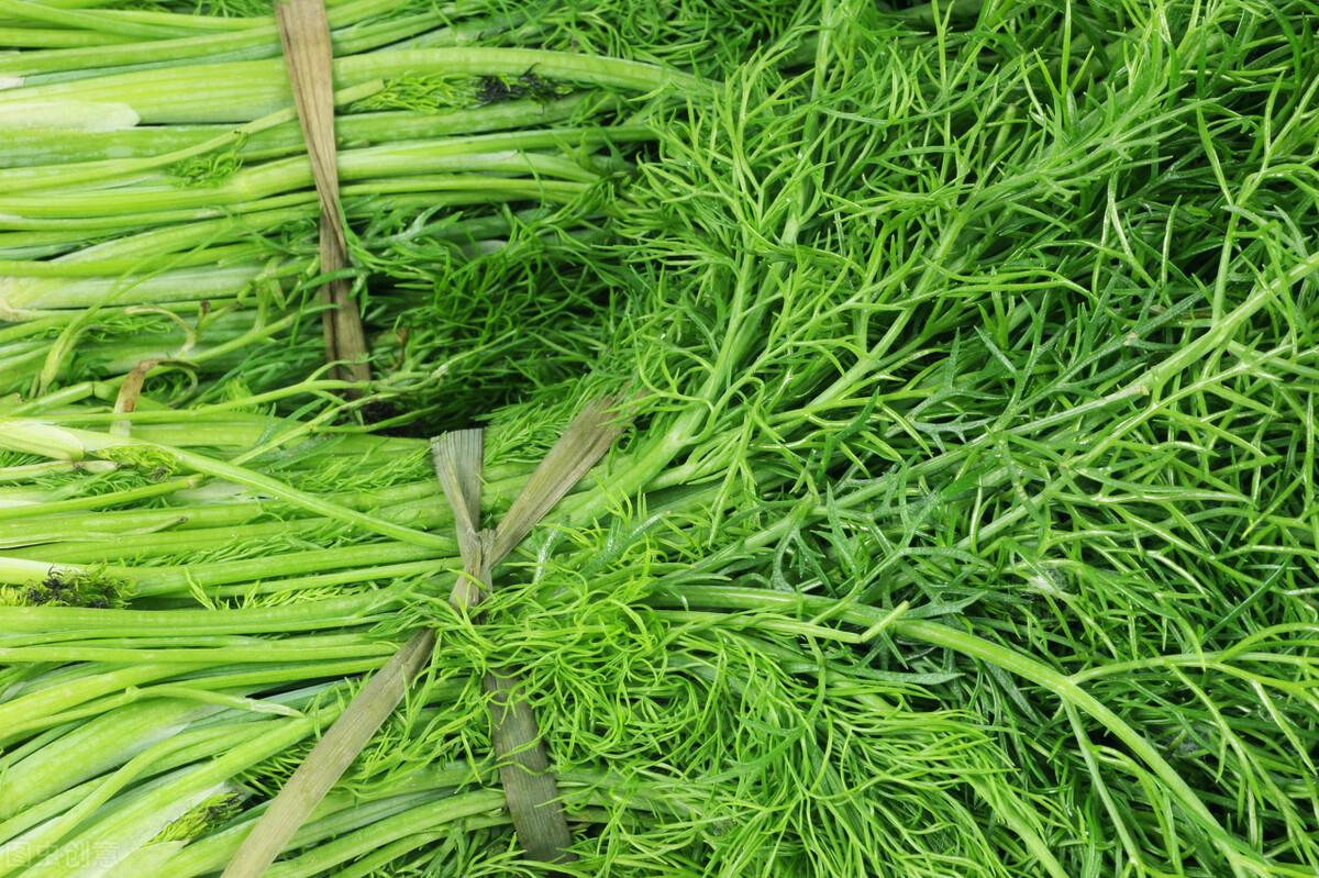 茴香價(jià)格動態(tài)，香氣變化與你的關(guān)聯(lián)