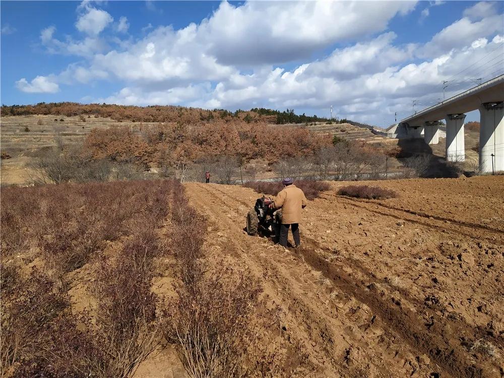 揭秘衡陽(yáng)張家山規(guī)劃更新，小巷風(fēng)情與隱藏小店的獨(dú)特魅力