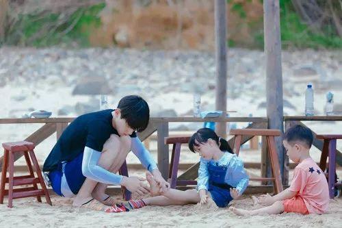 最新TV版資訊深度剖析，電視劇熱潮的影響力與影響