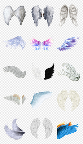 動漫翅膀繪制指南，從白紙起步，繪出飛翔的勵志翅膀！