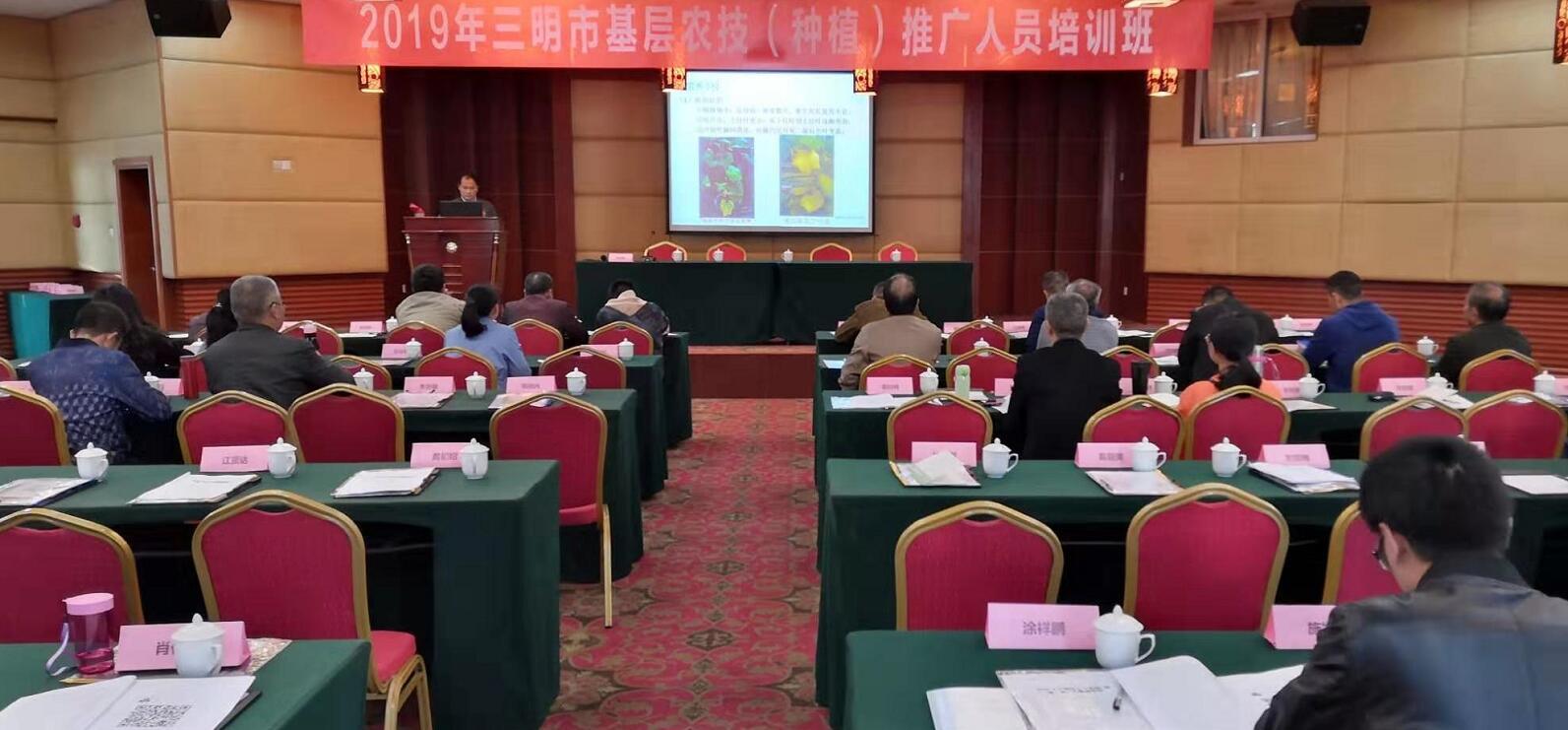 豇豆最新，廚房中的友情與家的溫馨