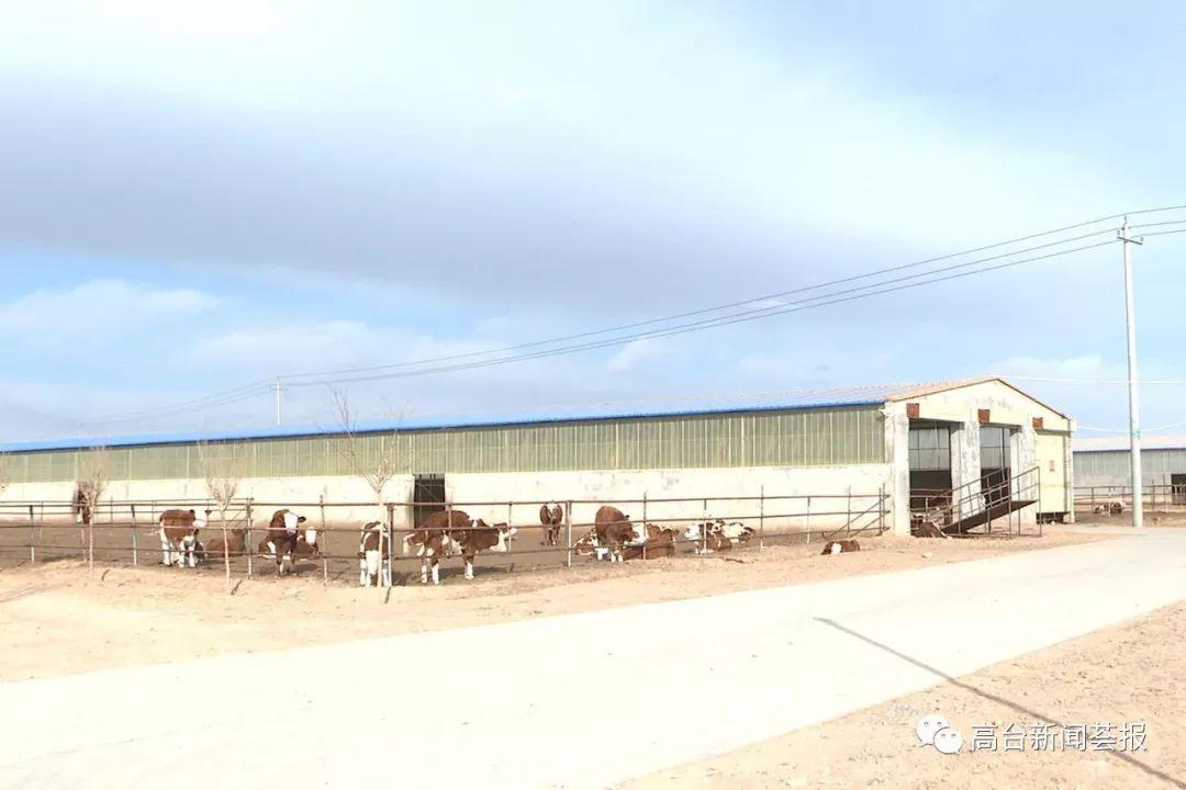 最新養(yǎng)殖場(chǎng)建設(shè)政策解讀，探索之旅啟程