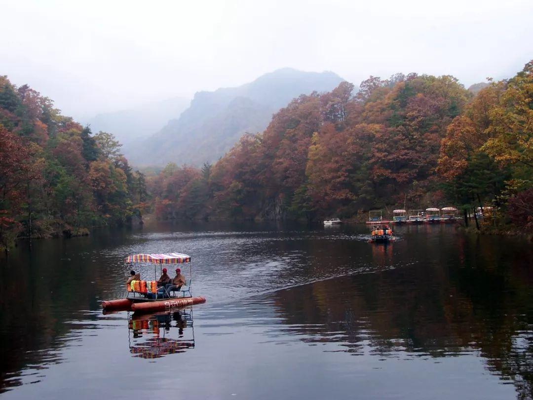 心動瞬間，愛情與生活的美妙交匯