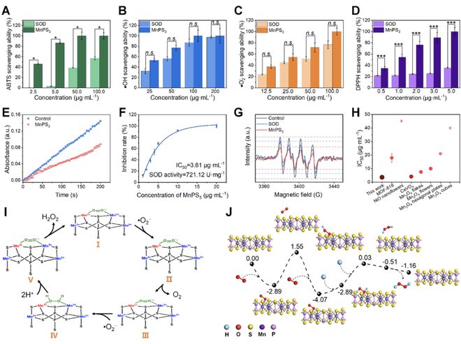 頭發(fā)再生研究新動(dòng)態(tài),頭發(fā)再生研究新動(dòng)態(tài)，小巷深處的秘密秀發(fā)實(shí)驗(yàn)室