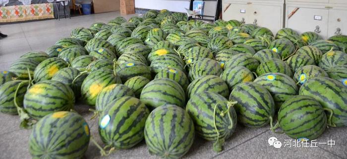 任丘工業(yè)停產最新動態(tài)????