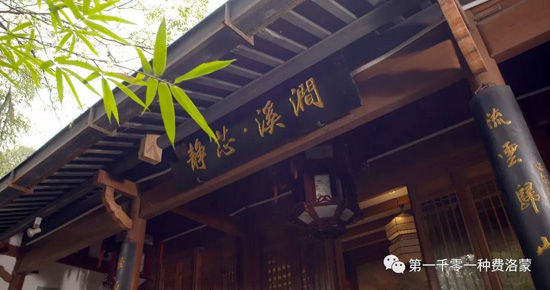 高密西湖茶樓最新資訊，一壺茶，品味溫情時光