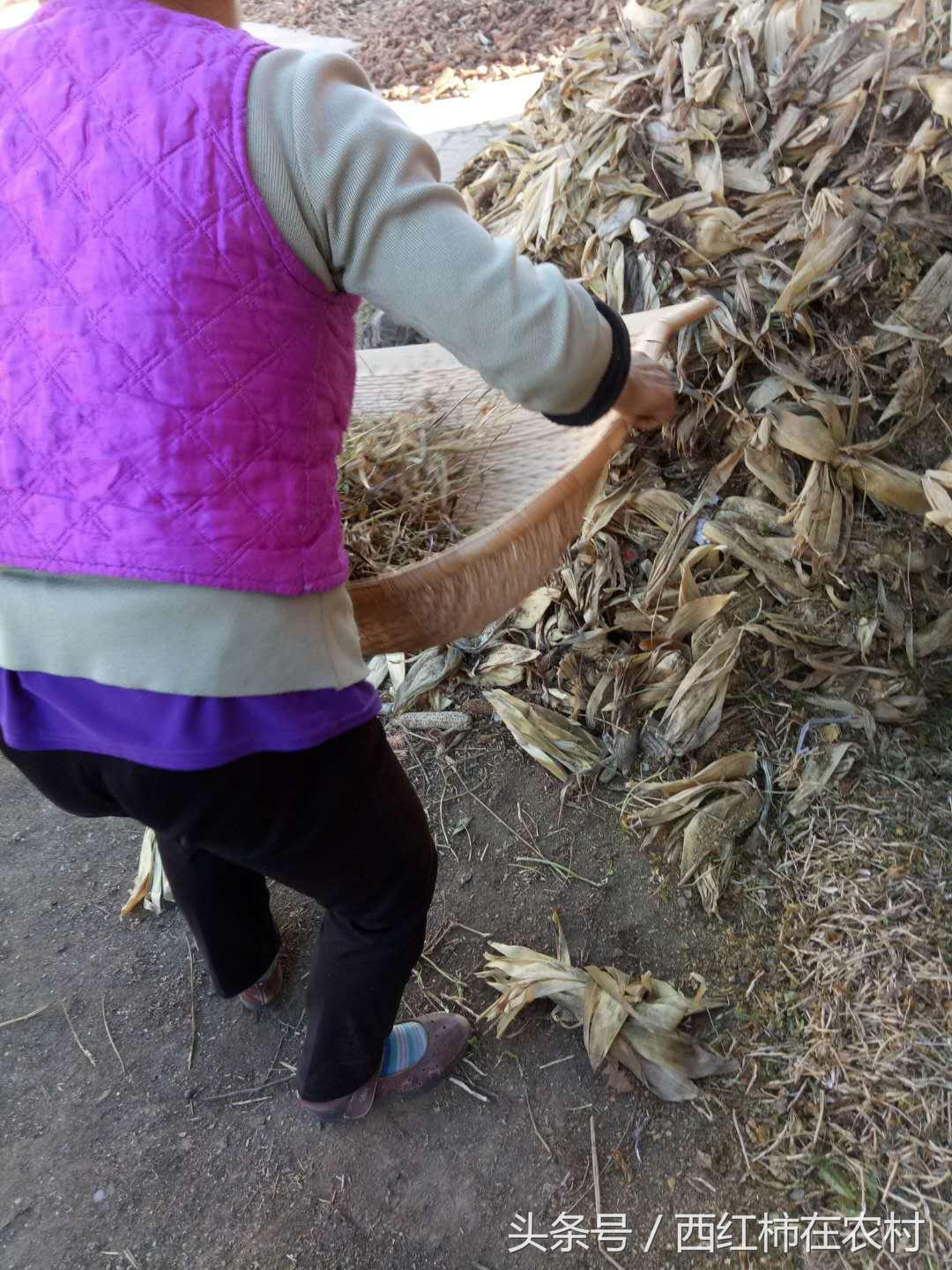 彬縣撤縣設(shè)區(qū)最新進(jìn)展，最新動(dòng)態(tài)更新