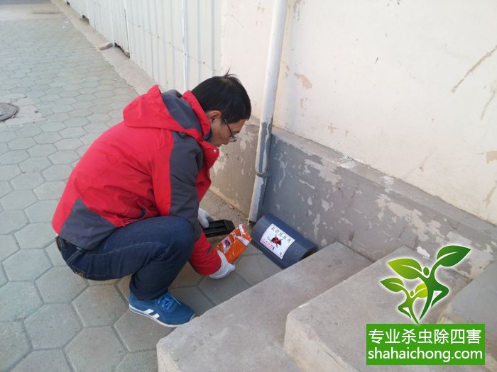 最新滅鼠技術(shù)的觀點(diǎn)論述與立場闡述，創(chuàng)新方法的探索與挑戰(zhàn)