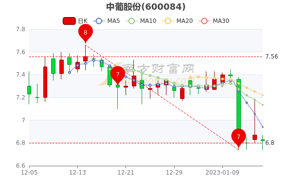 中葡股份股票行情深度分析與展望，未來走勢展望及行業(yè)前景預測。