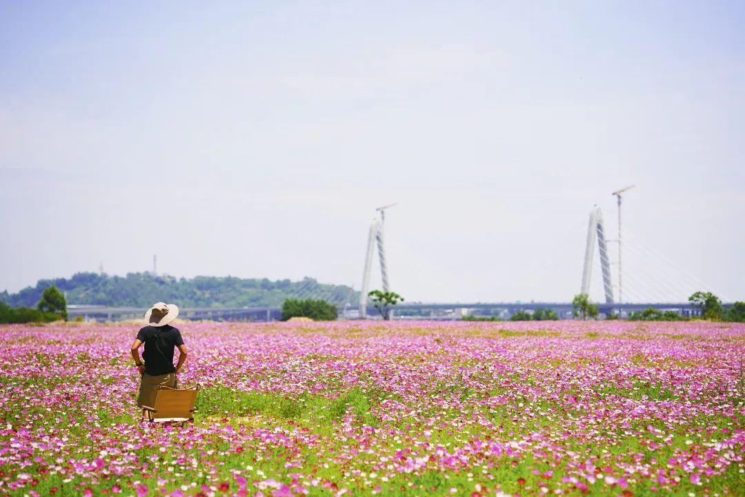 陳小北聚焦科技前沿，引領(lǐng)創(chuàng)新潮流新動態(tài)
