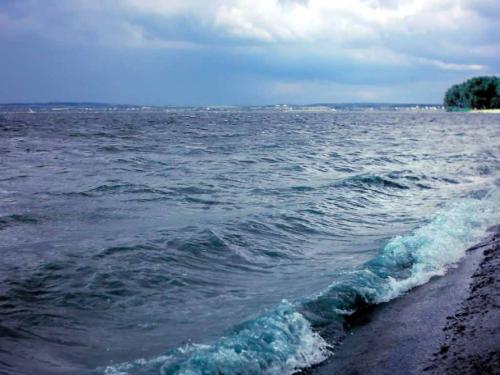 佳木斯新版，時代印記與變遷的見證者