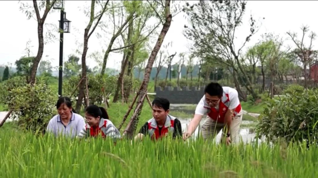 曲陽縣城最新招聘信息揭秘，小巷中的獨特小店等你來探索！