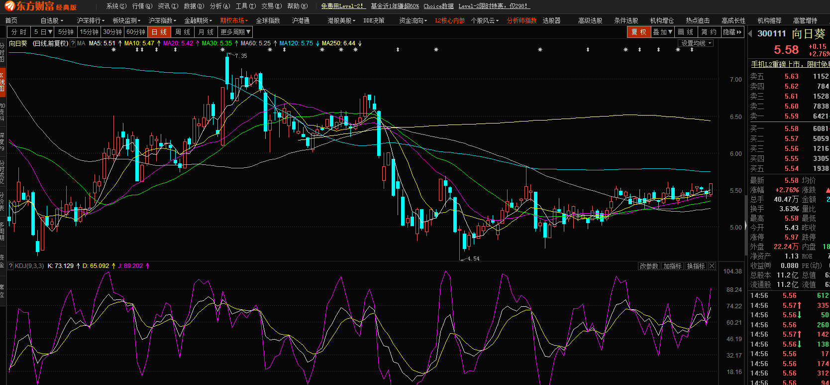 股市小天地，友情大天地——我與股票300141的日常故事分享