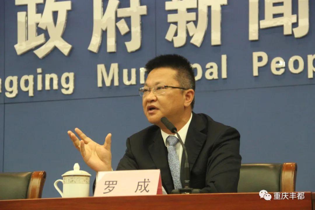 豐都新聞快訊，日常溫情與陪伴的瞬間