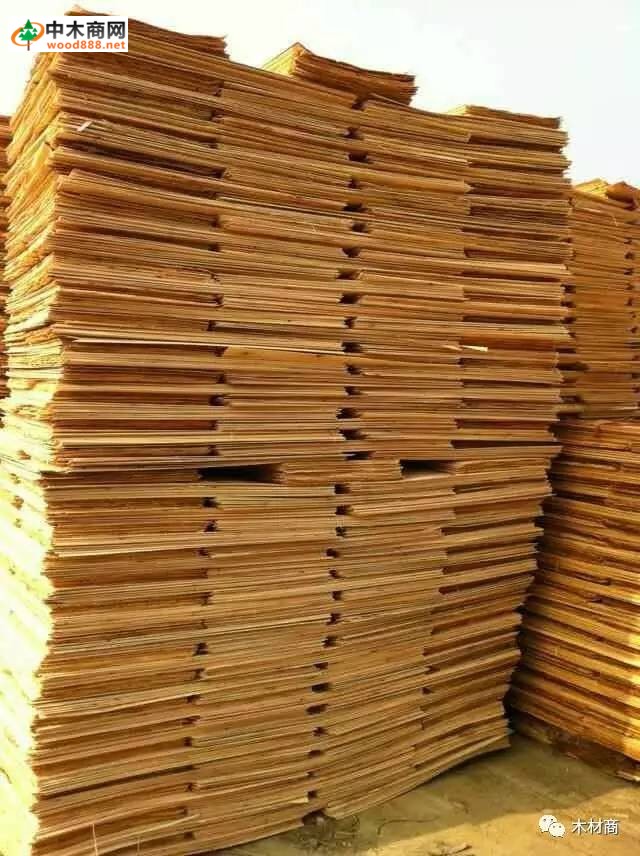 科技革新引領(lǐng)板皮廠行情，開啟板材加工新時代