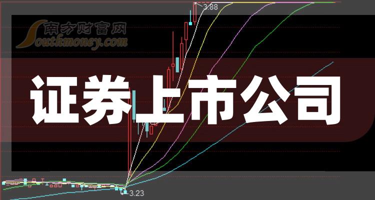 科技巨頭引領下的全新視界，股票上市公司概覽