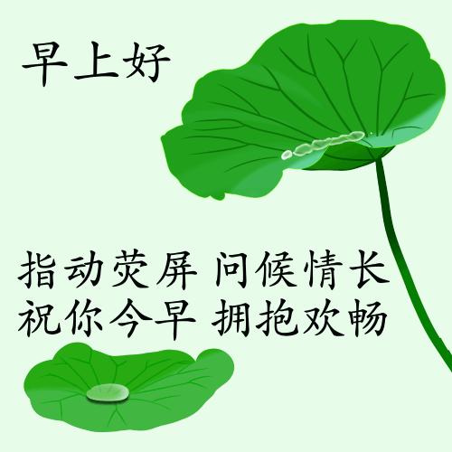 最新疫情動(dòng)態(tài)下的自然探索之旅，追尋內(nèi)心的平和與寧靜