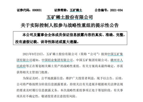 南方稀土股票，小巷中的隱秘寶藏，探索投資魅力的未知之旅