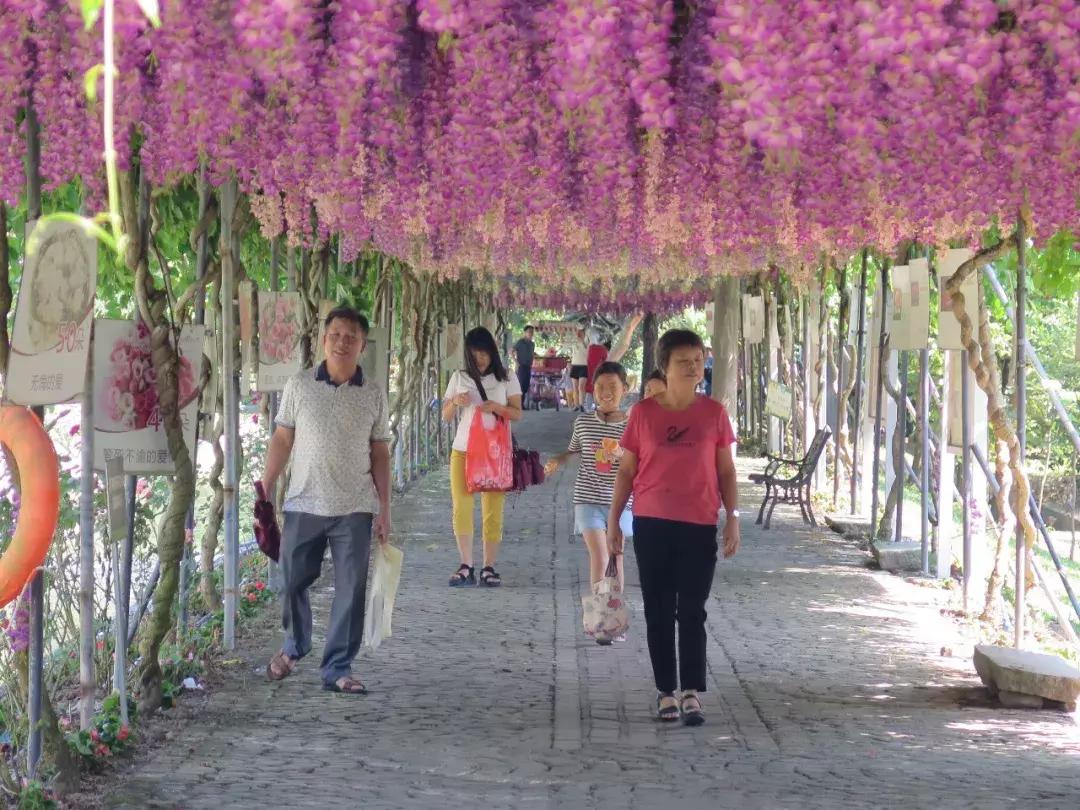 收入寶全新版本，家庭與友情的交織故事