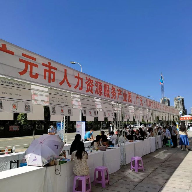 廣元最新招聘資訊詳解，觀點闡述與解析