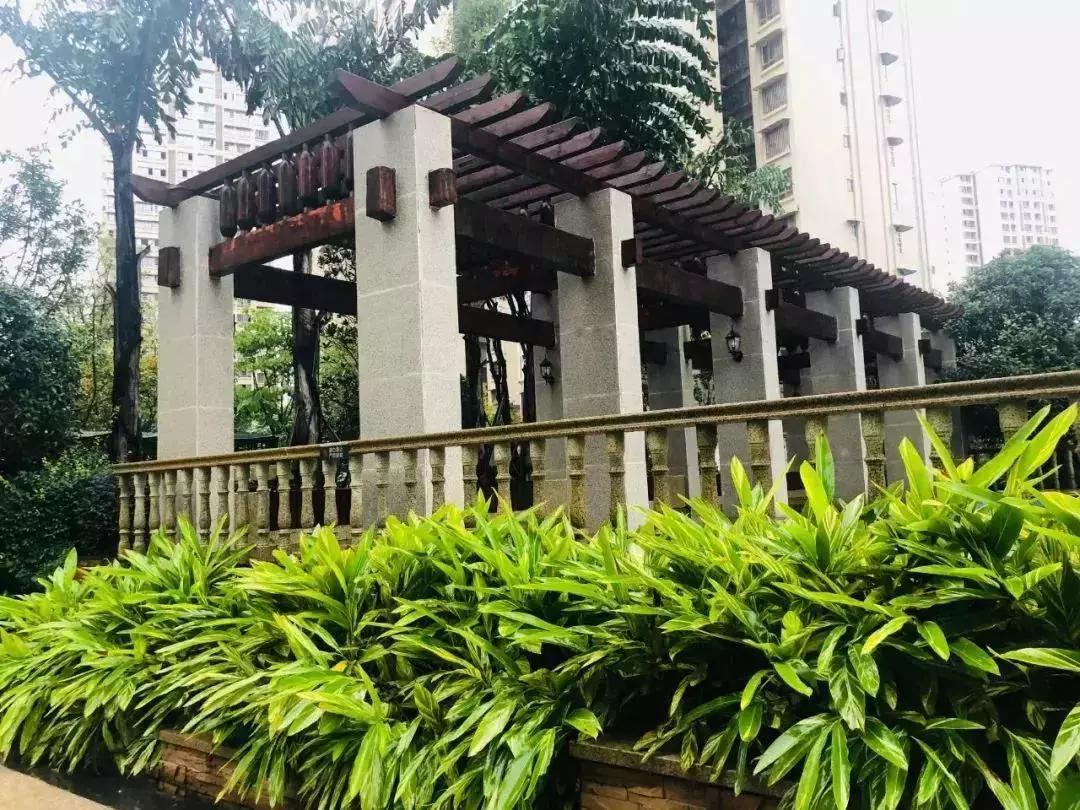 陽光江山金岸最新動態(tài)揭秘，全面指南與步驟詳解