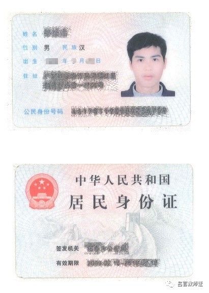 最新證照，友情與陪伴的溫馨故事之旅