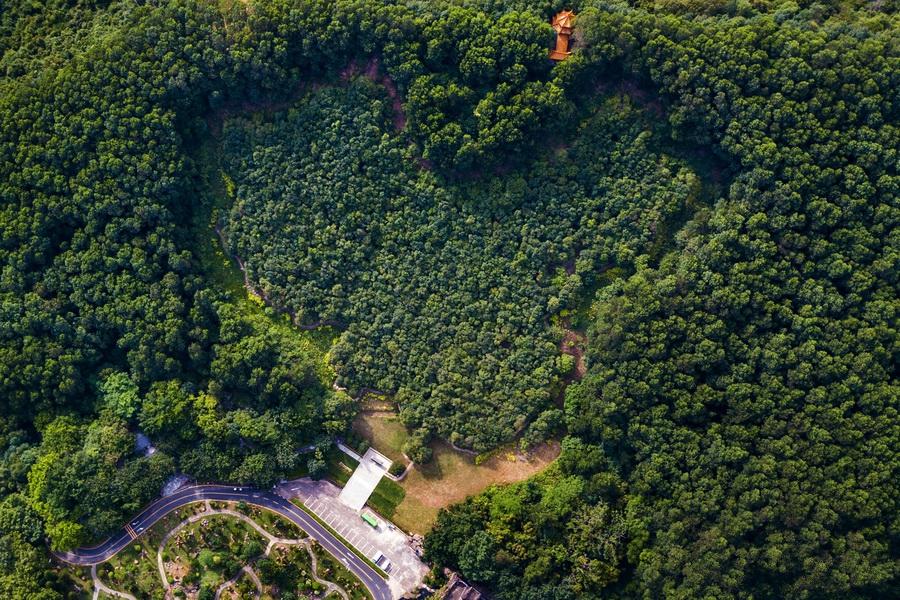 香港演員林，溫馨日常的點滴記錄