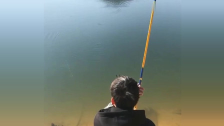 楊柏文最新垂釣視頻，從初學(xué)者到進(jìn)階用戶的技能提升指南
