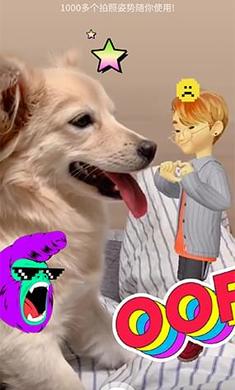 崽崽最新版下載，一段充滿愛與陪伴的溫馨旅程