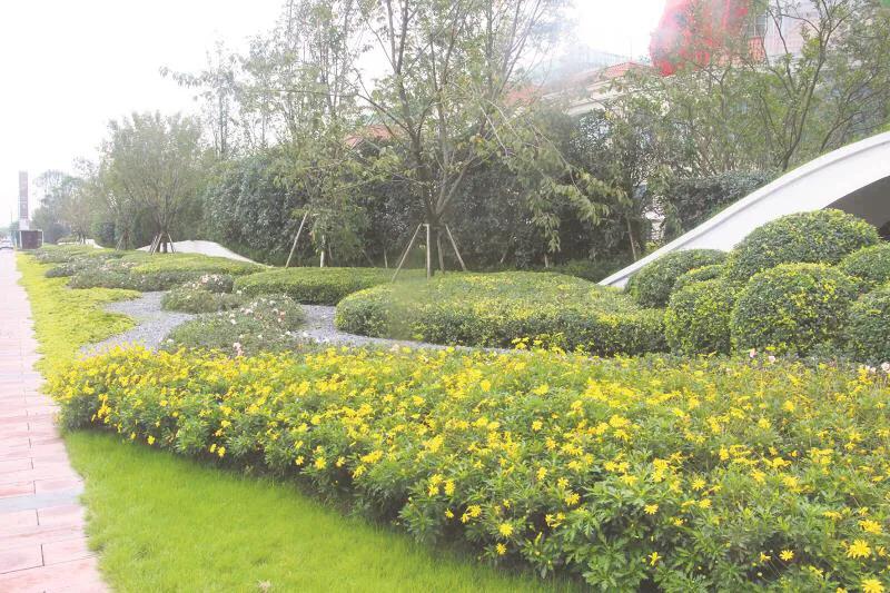 嬢王演員的自然之旅，邂逅美景，尋找內(nèi)心平和之道