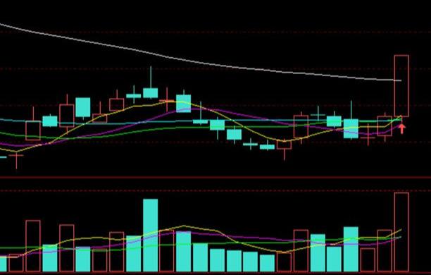 融捷最新公告詳解，任務(wù)完成指南與技能學(xué)習(xí)步驟全面解析