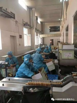 朝陽食品廠誠邀英才共創(chuàng)未來輝煌