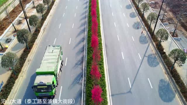 關(guān)花大道最新進(jìn)展，矚目盛景呈現(xiàn)！