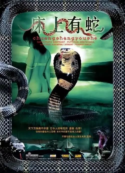 最新蛇片，蛻變的旅程，召喚自信與成就感的冒險(xiǎn)之旅