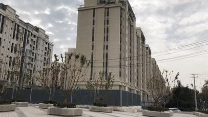 趙村最新動(dòng)態(tài)，鄉(xiāng)村振興新篇章開(kāi)啟