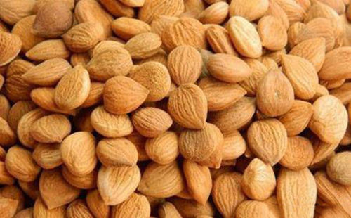 苦杏仁行情深度解析，背景、事件與地位探究