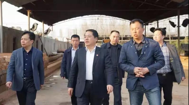 商丘王仲田最新動(dòng)態(tài)，探索自然美景的旅行，尋求內(nèi)心平和之旅