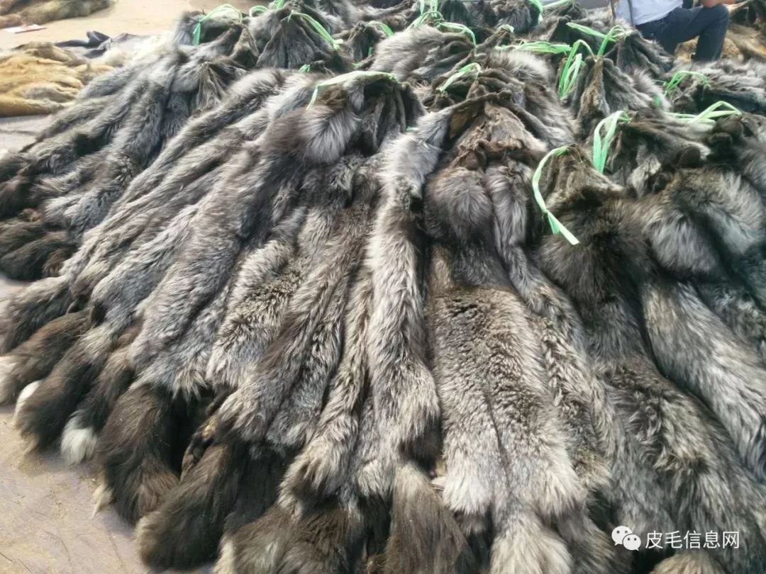 貉皮尚村最新價格，小巷中的時尚皮草寶藏探索