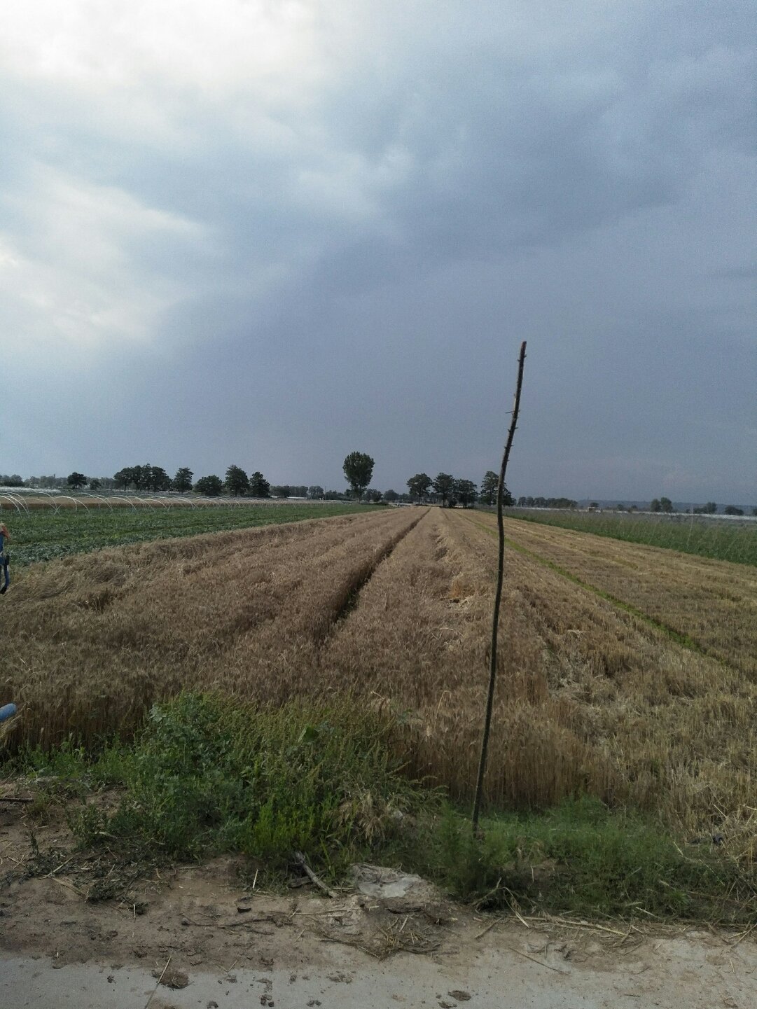 蒲城天氣預(yù)報，暖陽下的友情時光