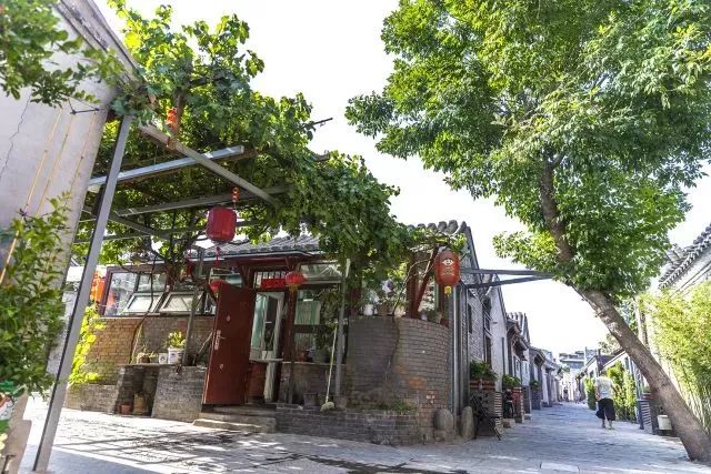 草社區(qū)美食探險(xiǎn)之旅，探尋小巷中的隱藏寶藏與最新地址揭秘