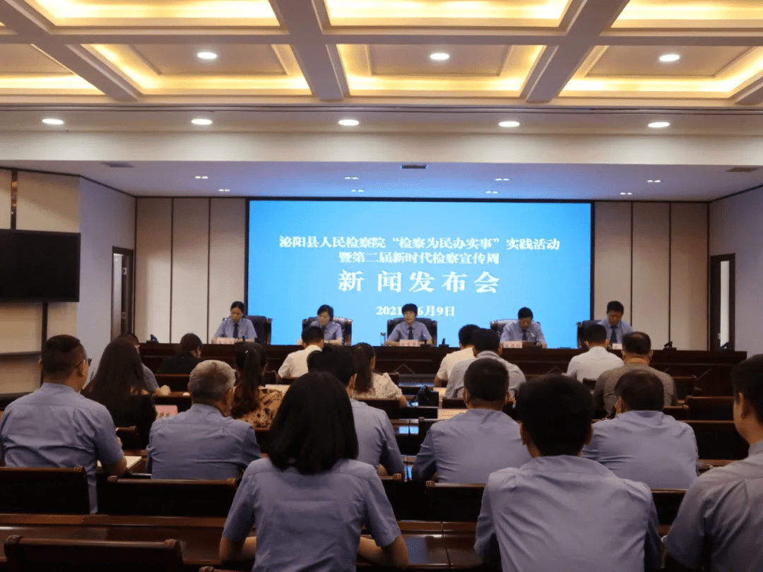 泌陽新聞最新動態(tài)，多元視角下的觀察與思考