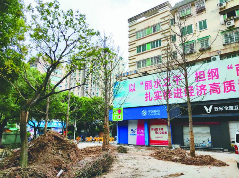 最新吊車網(wǎng)，自然美景之旅與內(nèi)心平靜的探尋